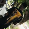 Samanyanga🐘's profile picture