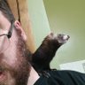 Profilbild von Canadian Bear and ferret rangler