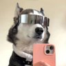 Profilbild von ——蓝格调