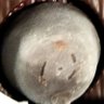 アナ掘リックシンドローム's profile picture