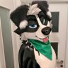 Fwoomp Dog 🎈 profil fotoğrafı