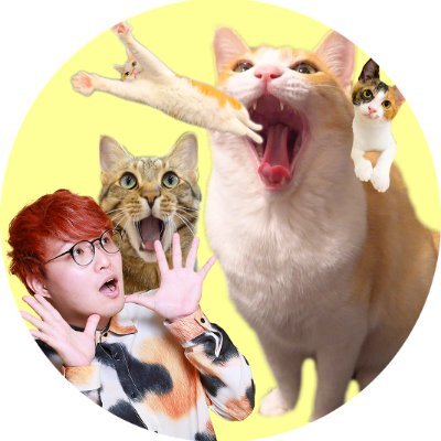 《あつし》@猫と暮らしています's profile picture