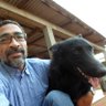 Jorge Henrique Oliveira's profile picture