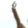 Piotr's profile picture