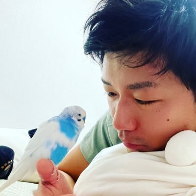 takahide_akimo's profile picture