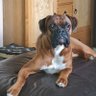 bippidee profil fotoğrafı