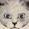 猫さん's profile picture