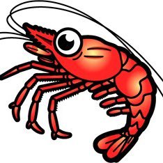 Koni_11b's profile picture