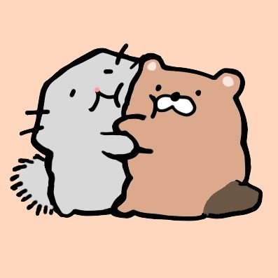 chinchilla_fri's profile picture