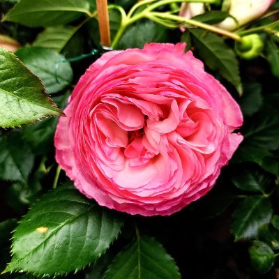 SkW18823's profile picture