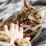 Фото профиля Karanonline