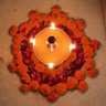 Shashi🇮🇳's profile picture