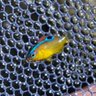 都内の水辺に出没する高校生s profil fotoğrafı