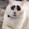 ; 的头像