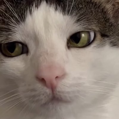 bhlhjl's profile picture