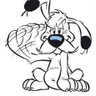Dogmatix the Gaul's profile picture