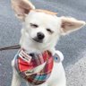 しまちゃん 的头像