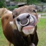 evn's profile picture