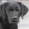 Waszku's profile picture