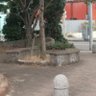 有夢真好's profile picture