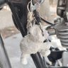Фото профиля Yomisma 🧸🧸🧸🧸🐿️🐿️🐿️🐿️🐈‍⬛🐈‍⬛🐈‍⬛🐈‍⬛