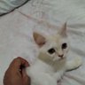 Mohmed Dr profil fotoğrafı