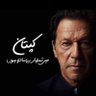 Profilbild von The Patriotic Pakistani
