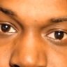 Bob Bob's profile picture
