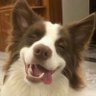 nashimu profil fotoğrafı