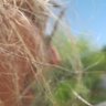 JJ Bucks profil fotoğrafı