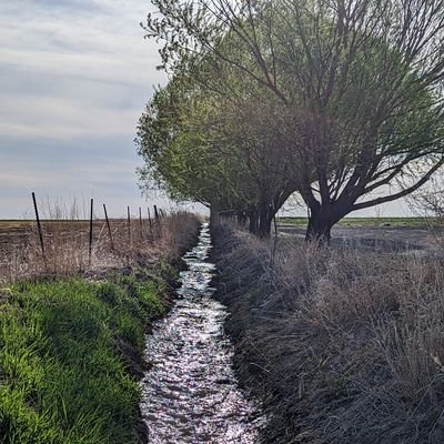 bluewade7's profile picture