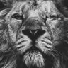 Battlescar profil fotoğrafı