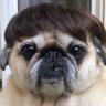 juliansml profil fotoğrafı