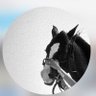 F.razanA's profile picture