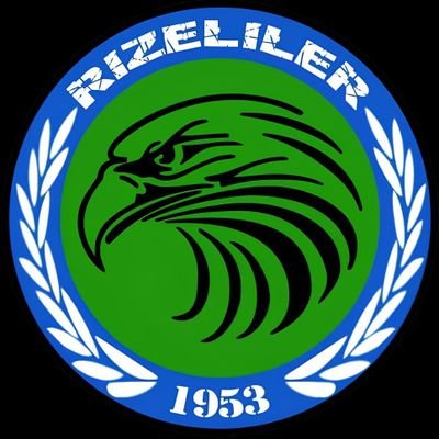 rizelilergrubu's profile picture