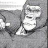 Porpino's profile picture