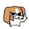 lazyssi_'s profile picture