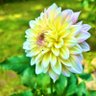 testing123's profile picture