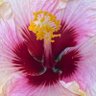 Фото профиля Popo de Catarina