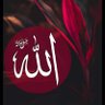 Fakhar Abbas 的头像