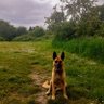 Avi Goldfarb profil fotoğrafı