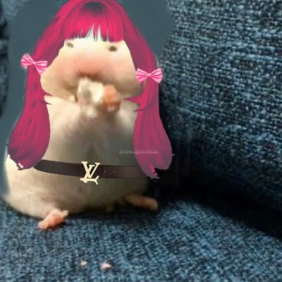 inci's profile picture