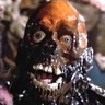 CORUS_LEE's profile picture