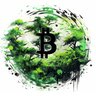 Crypto Satori 的头像