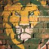 Tony 🦁🏀⚾🥎🎾🏃 的头像