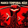 Lauro Oliveira Maire 的头像