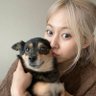 Tea's profile picture