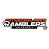 Cathedral Prep Volleyball's profile picture