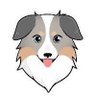 Crypto's profile picture