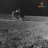 Rvl_Sh's profile picture